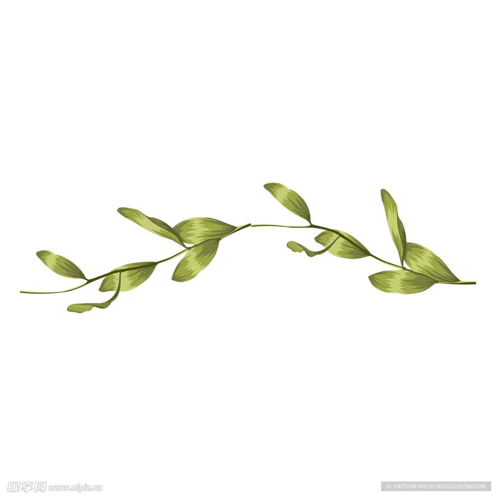 水彩植物图片