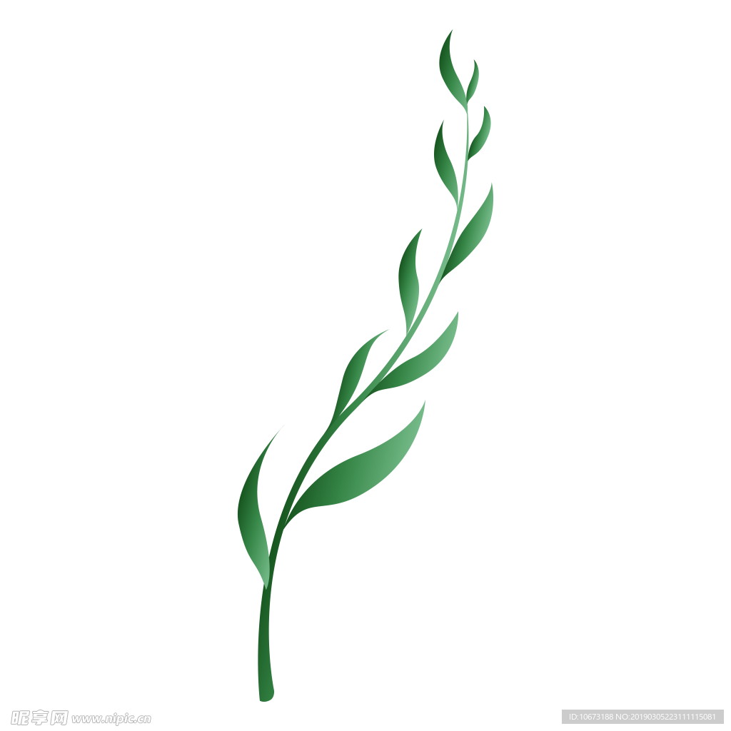 水彩植物图片
