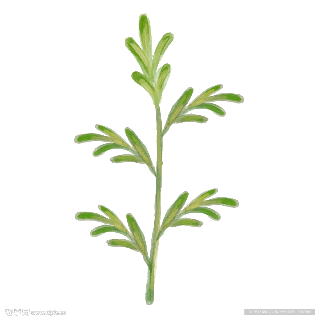 水彩植物图片