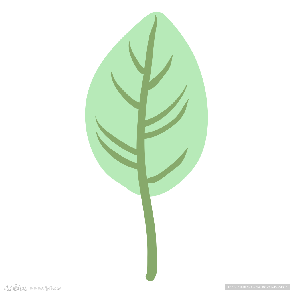 水彩植物图片