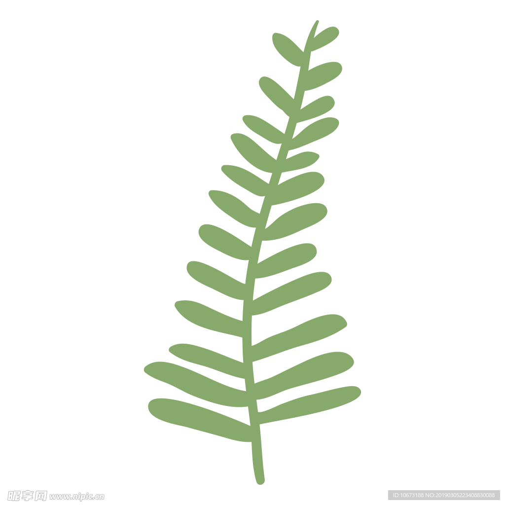 水彩植物图片