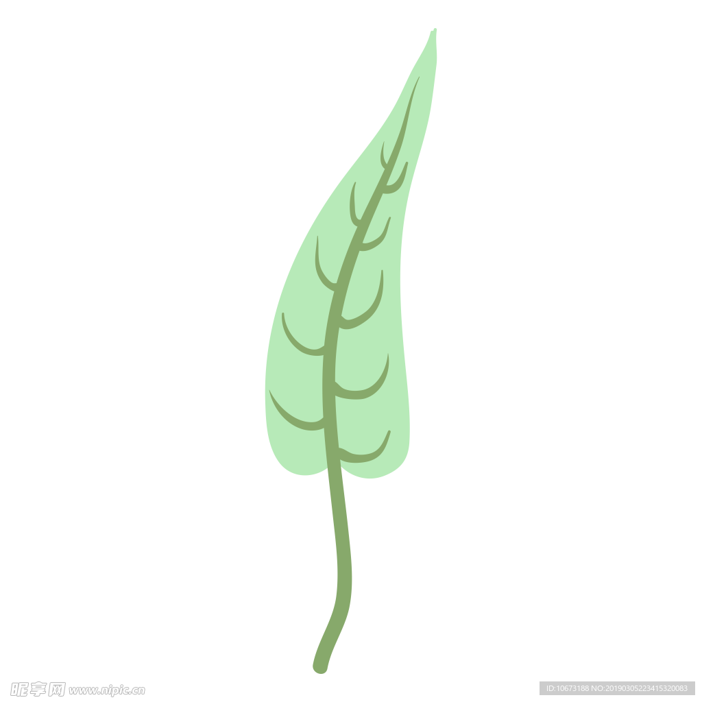 水彩植物图片