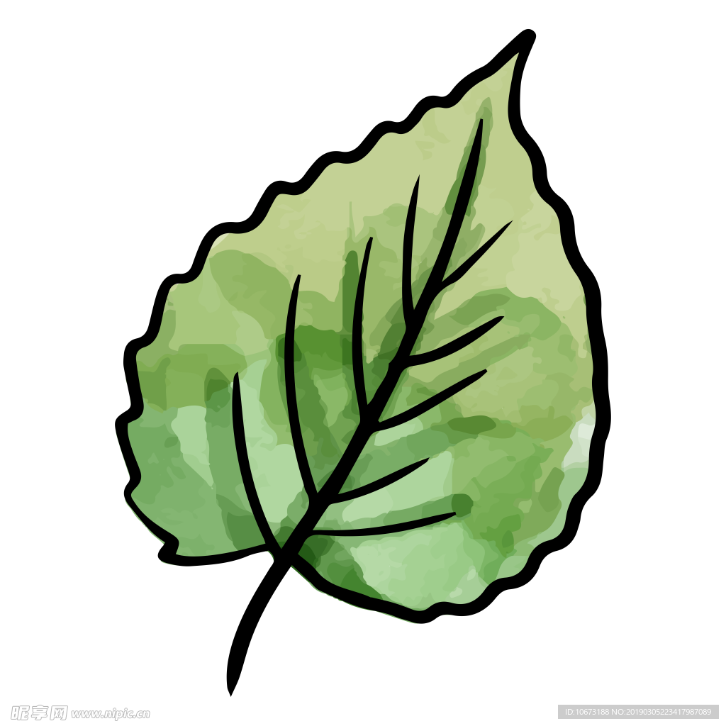 水彩植物图片
