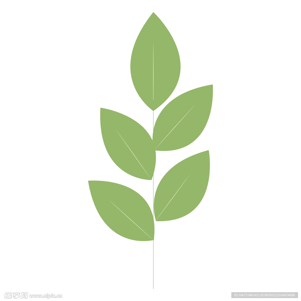 水彩植物图片