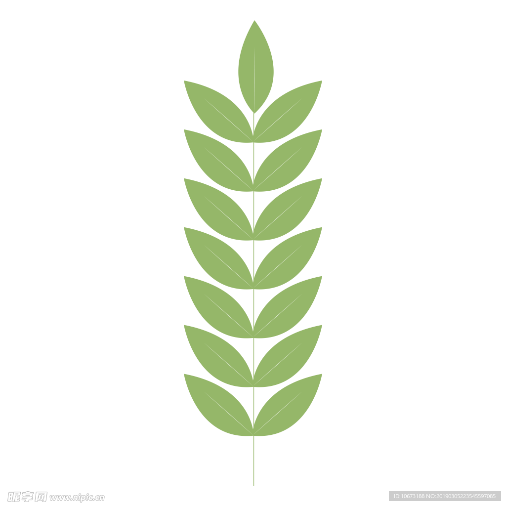 水彩植物图片