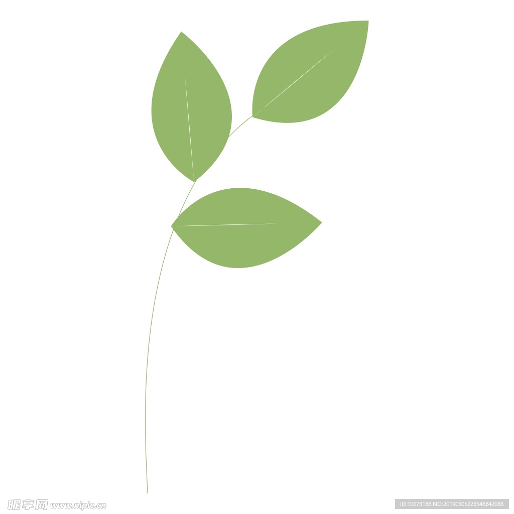 水彩植物图片