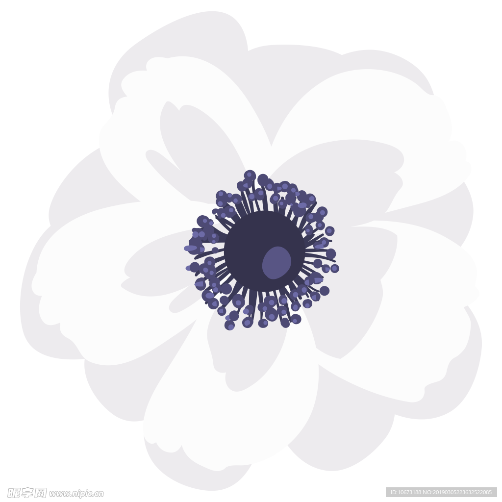 水彩植物图片