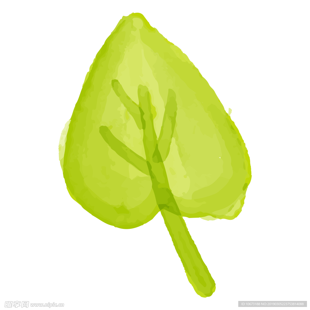 水彩植物图片