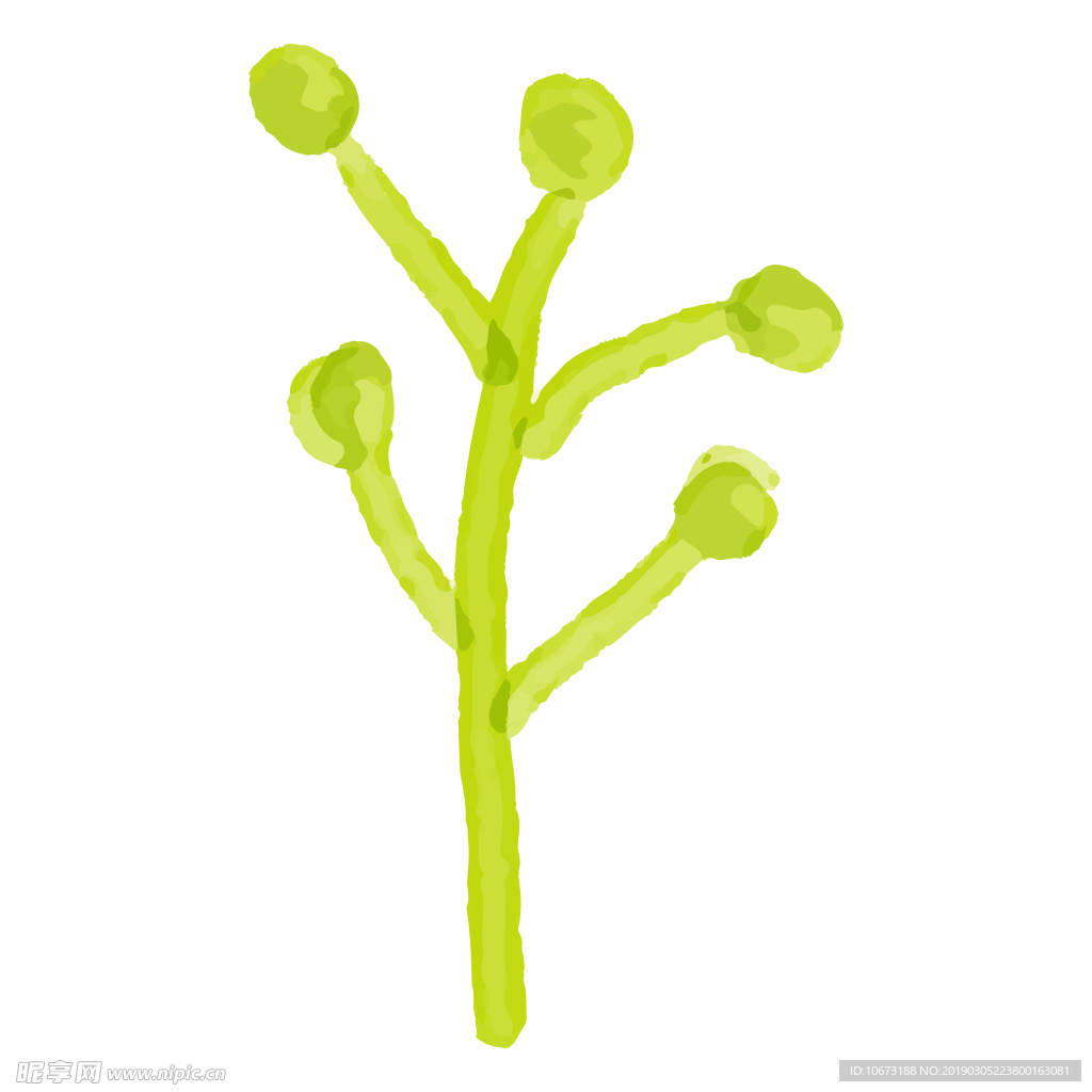 水彩植物图片