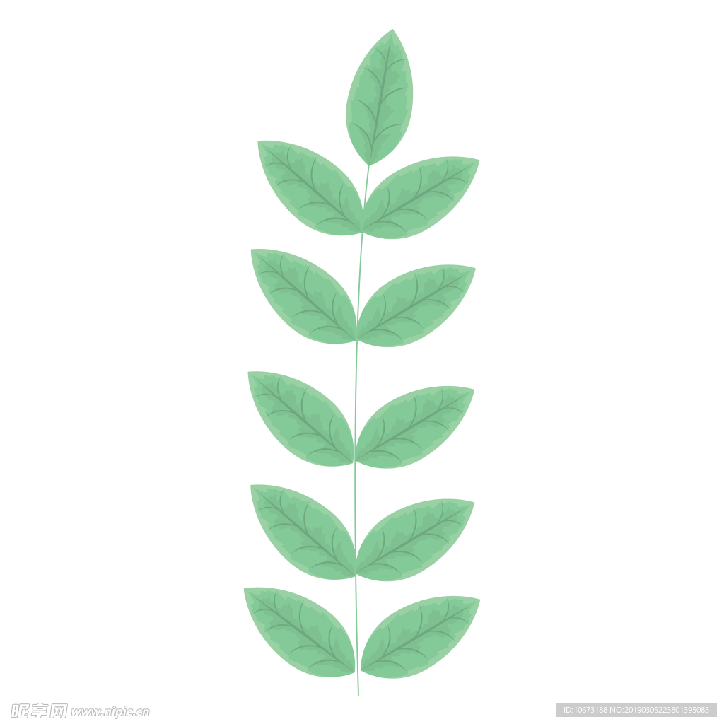 水彩植物图片