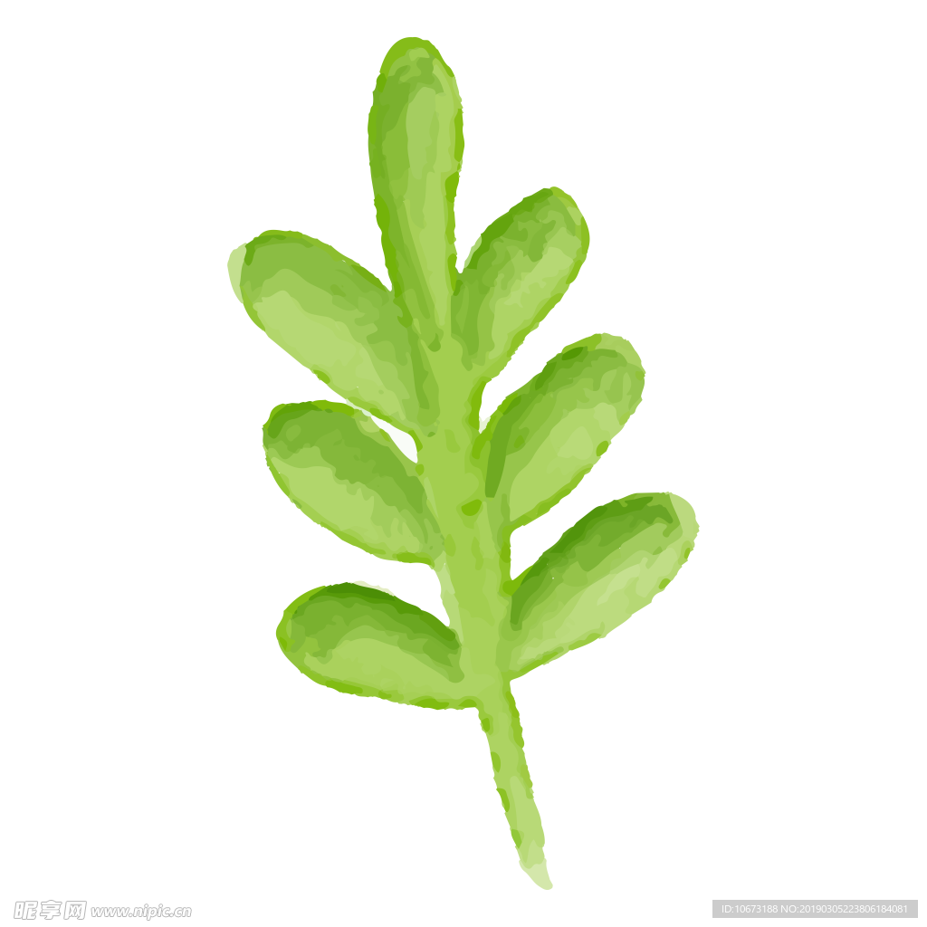 水彩植物图片