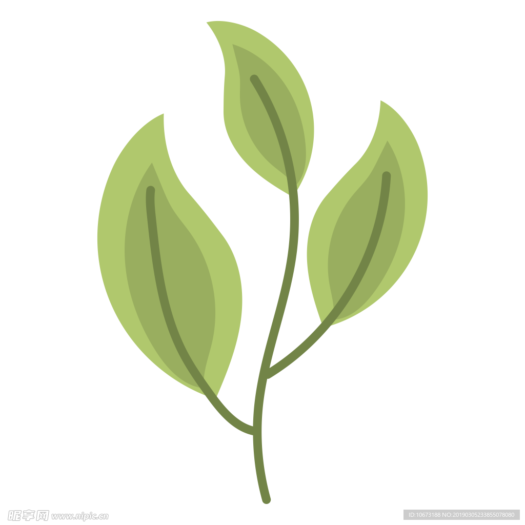 水彩植物图片