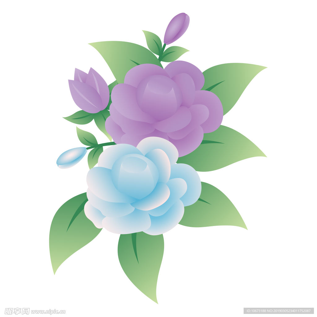 水彩植物图片