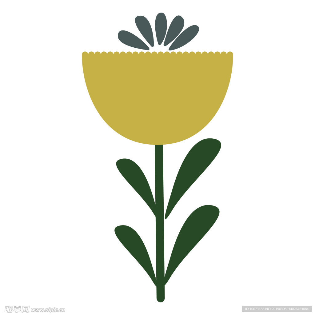水彩植物图片