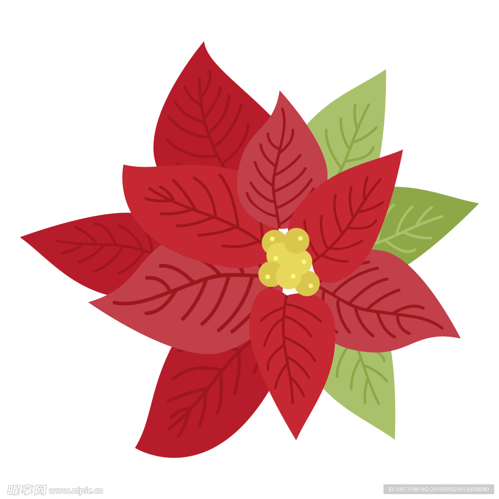 水彩植物图片