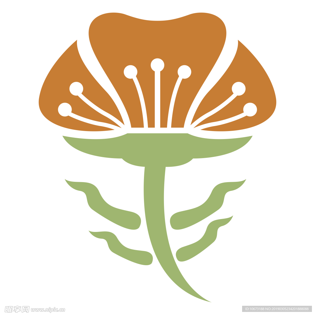 水彩植物图片