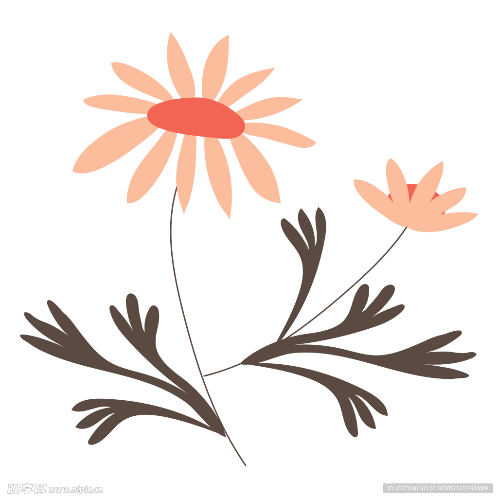 水彩植物图片