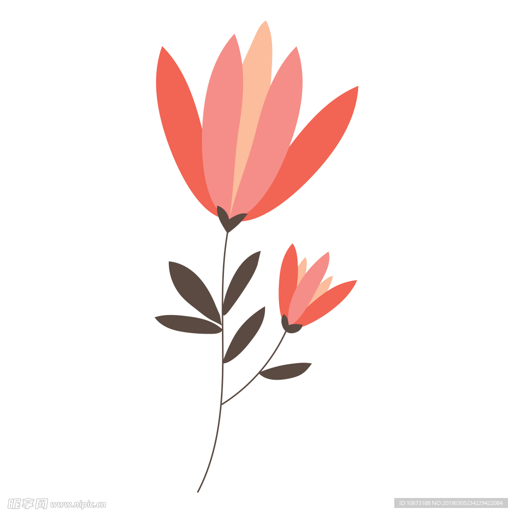 水彩植物图片