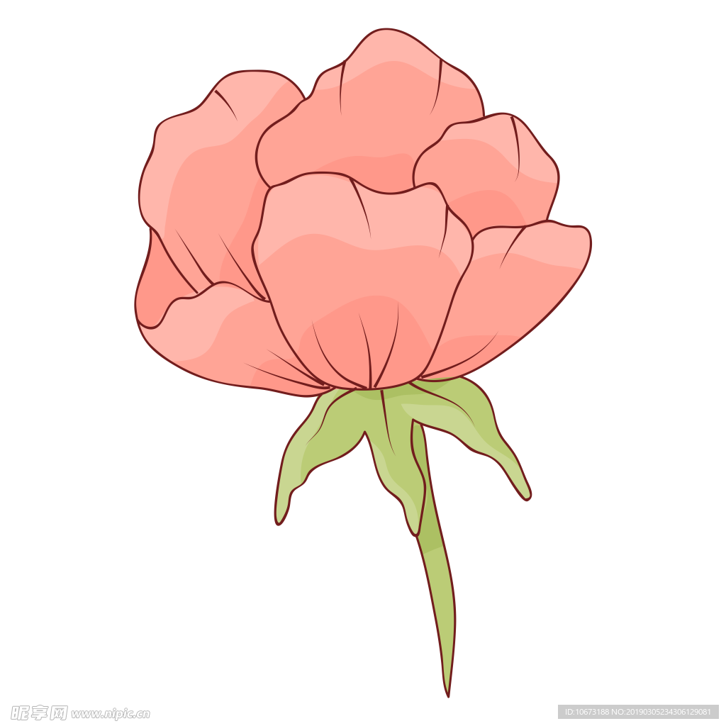 水彩植物图片