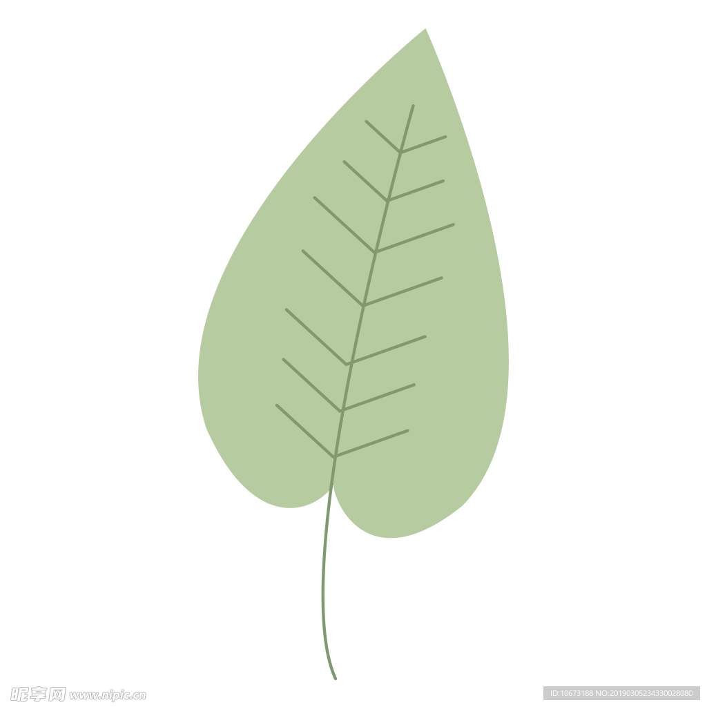 水彩植物图片