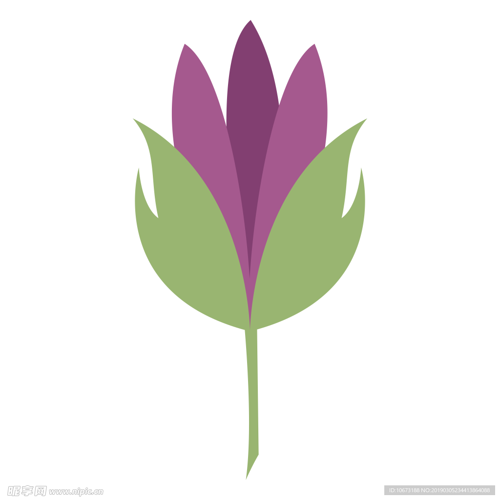 水彩植物图片