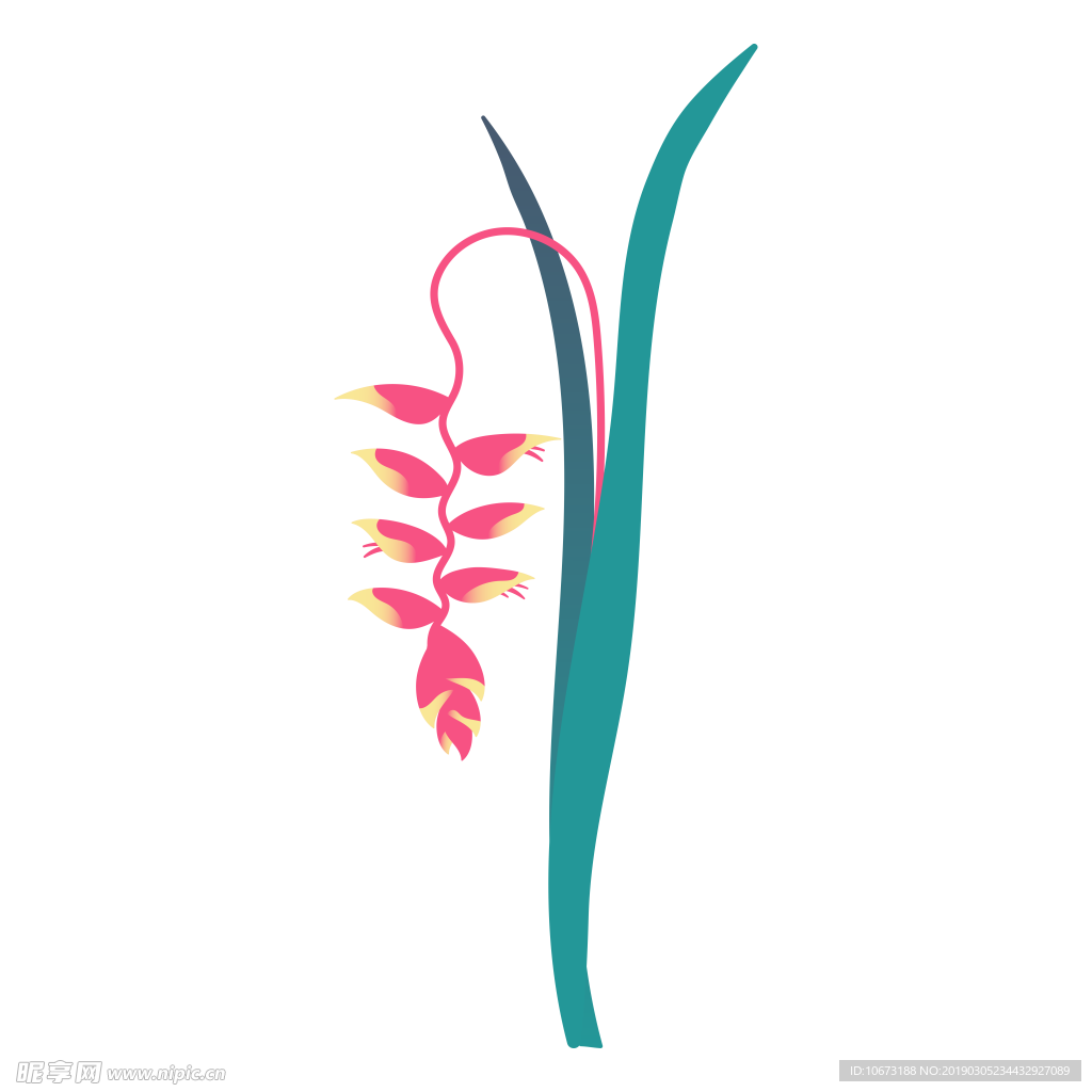 水彩植物图片