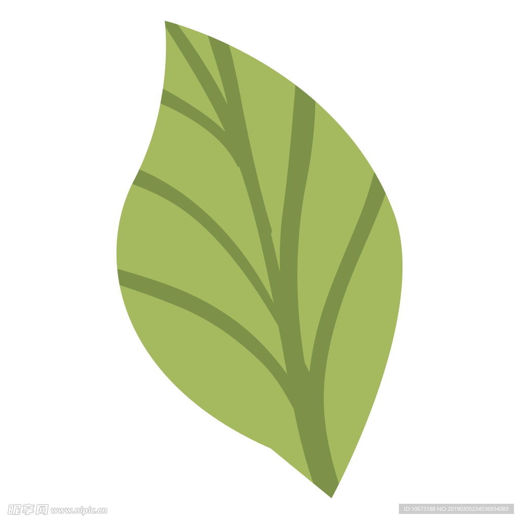 水彩植物图片