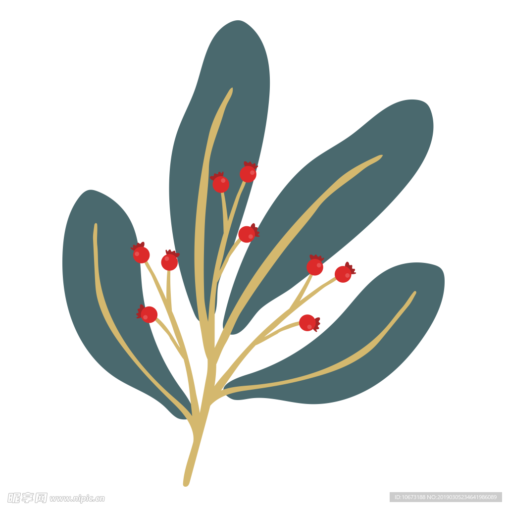 水彩植物图片