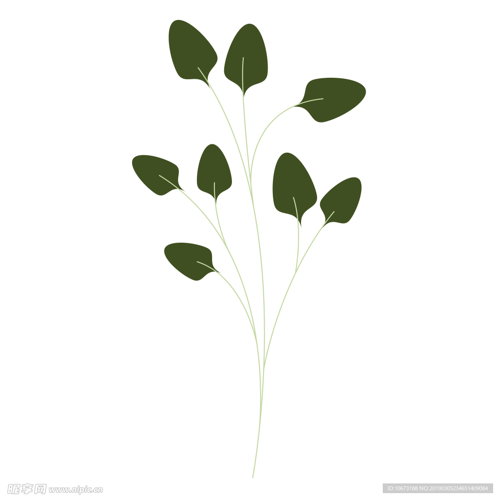 水彩植物图片