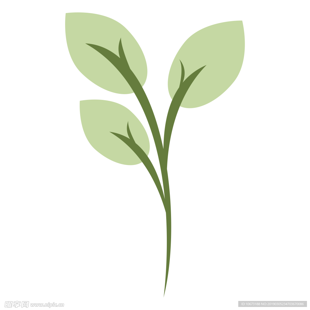 水彩植物图片