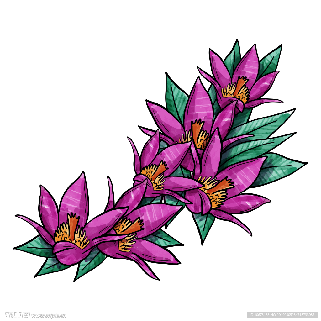 水彩植物图片