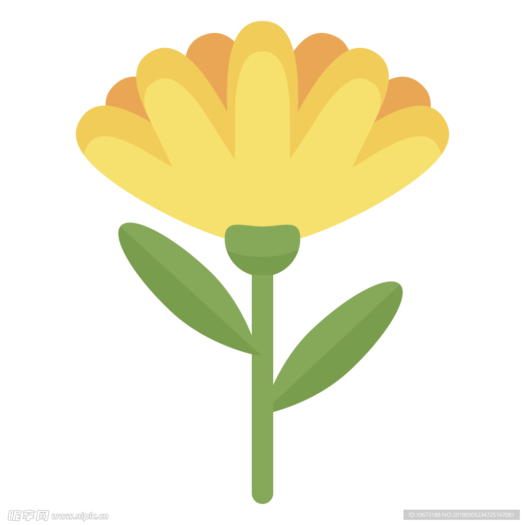 水彩植物图片