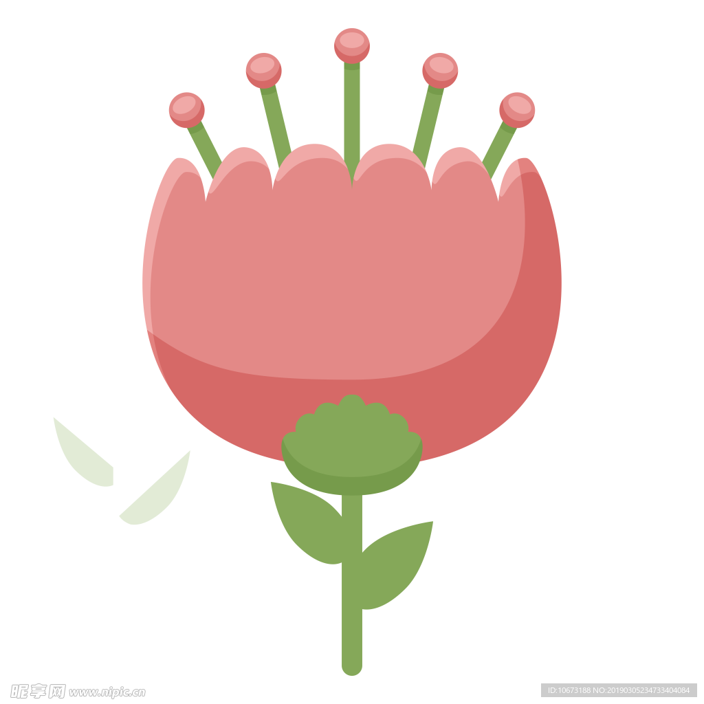 水彩植物图片