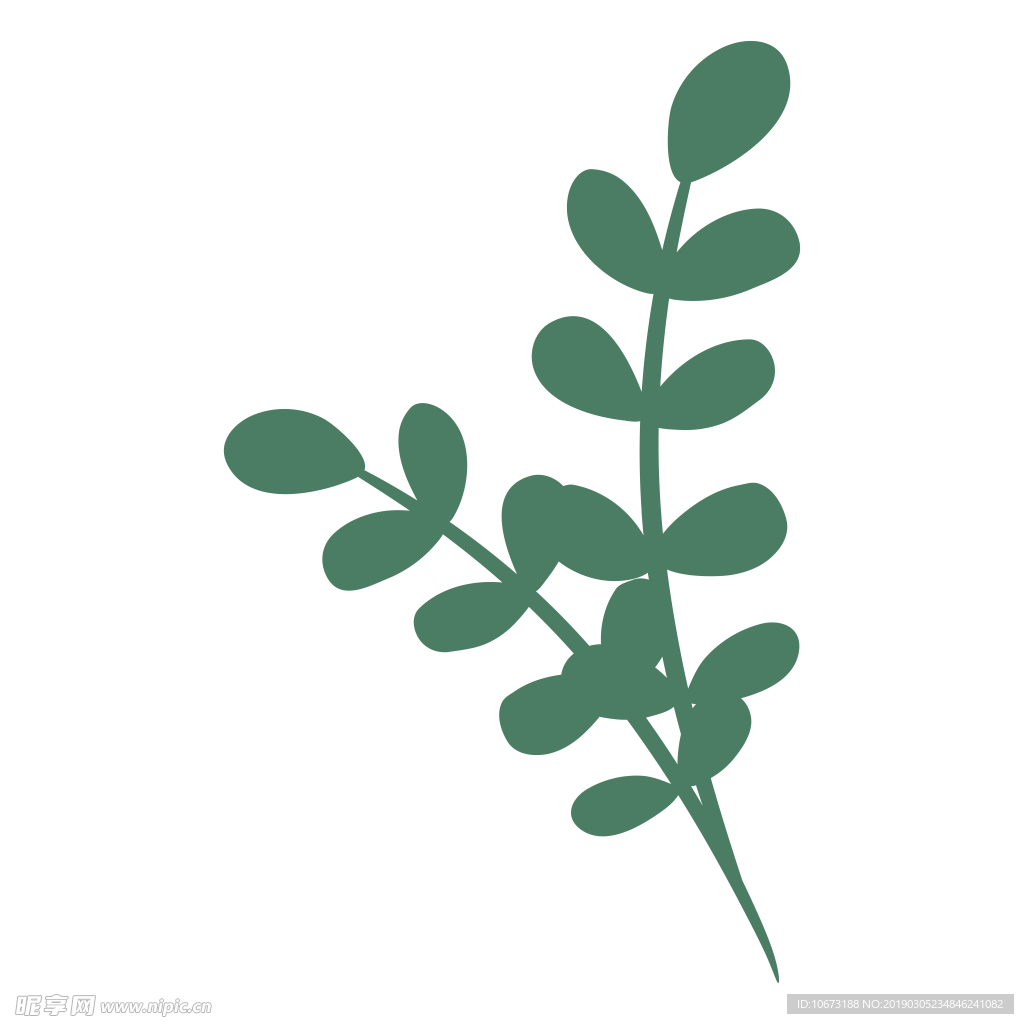 水彩植物图片