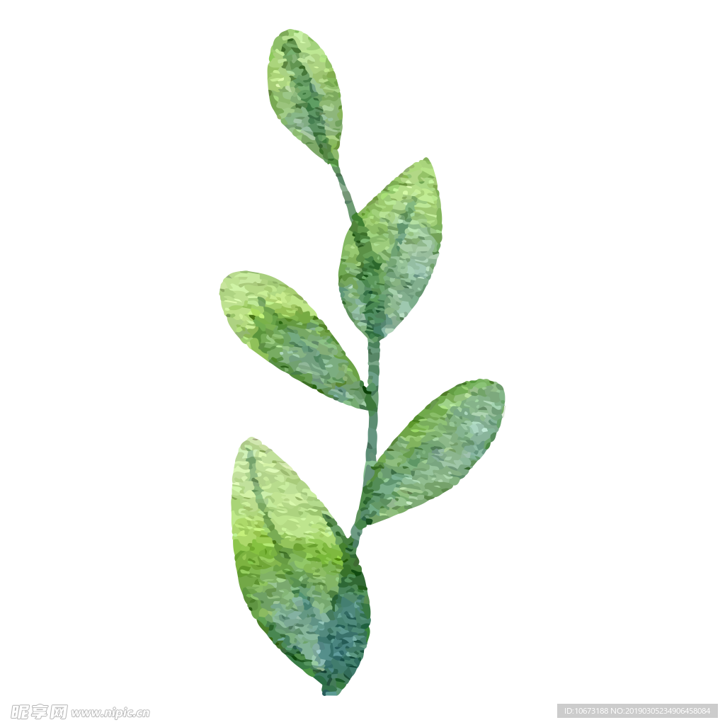 水彩植物图片