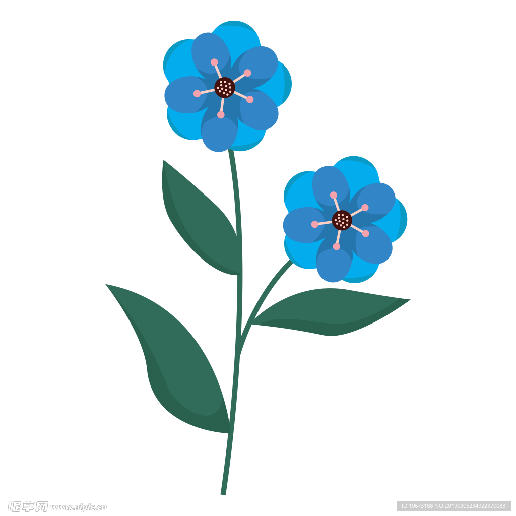 水彩植物图片