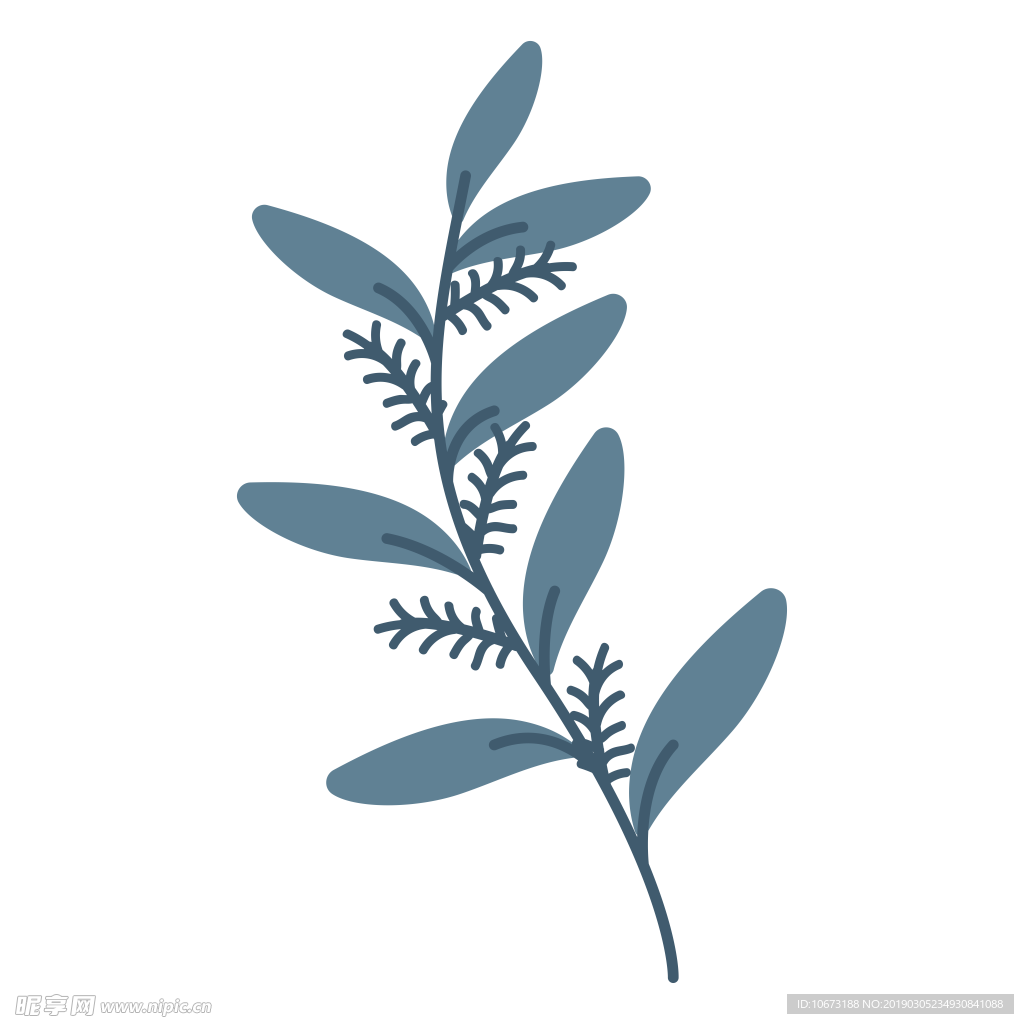水彩植物图片