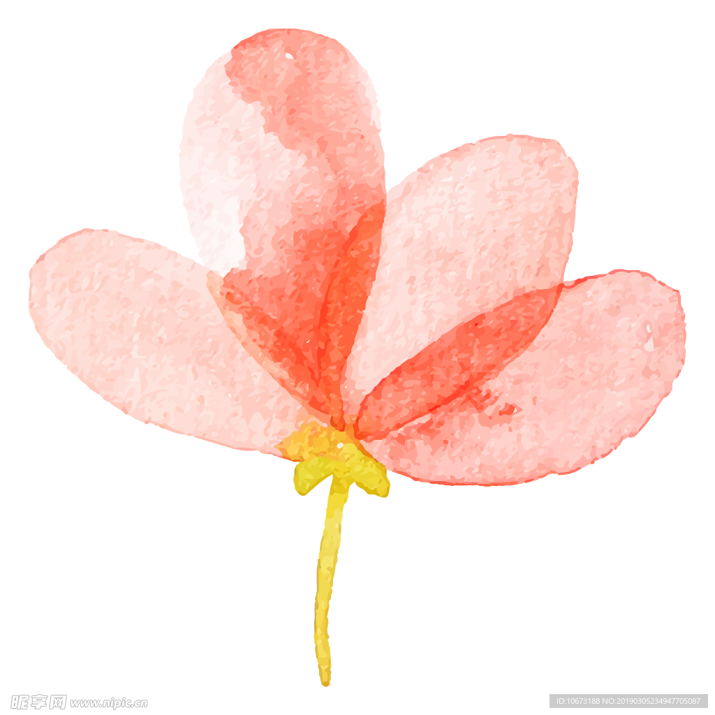水彩植物图片