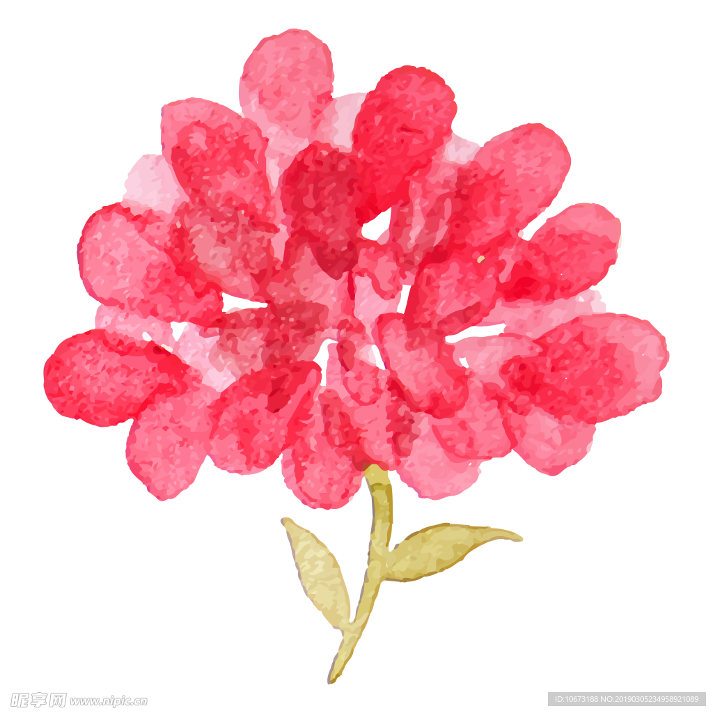 水彩植物图片