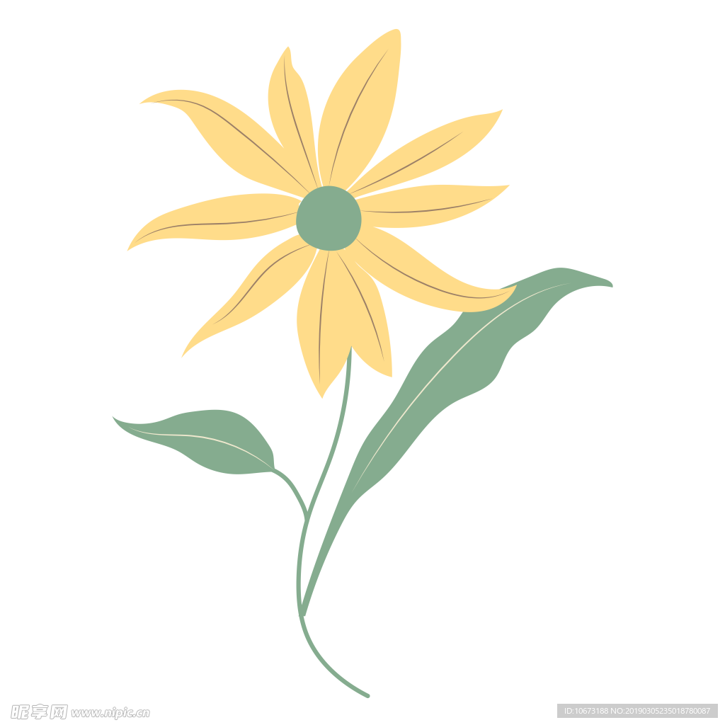 水彩植物图片