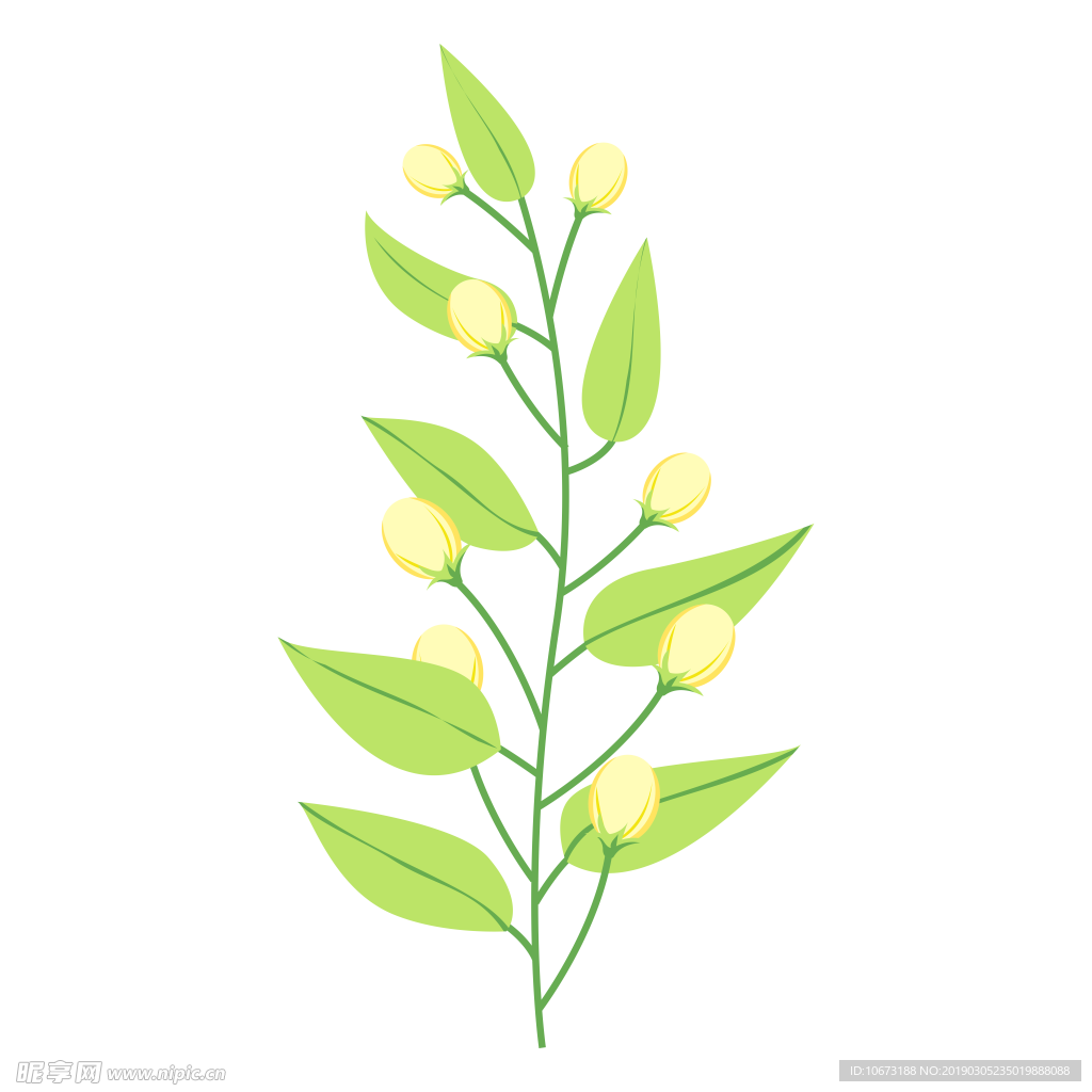 水彩植物图片