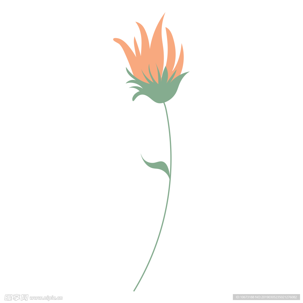 水彩植物图片