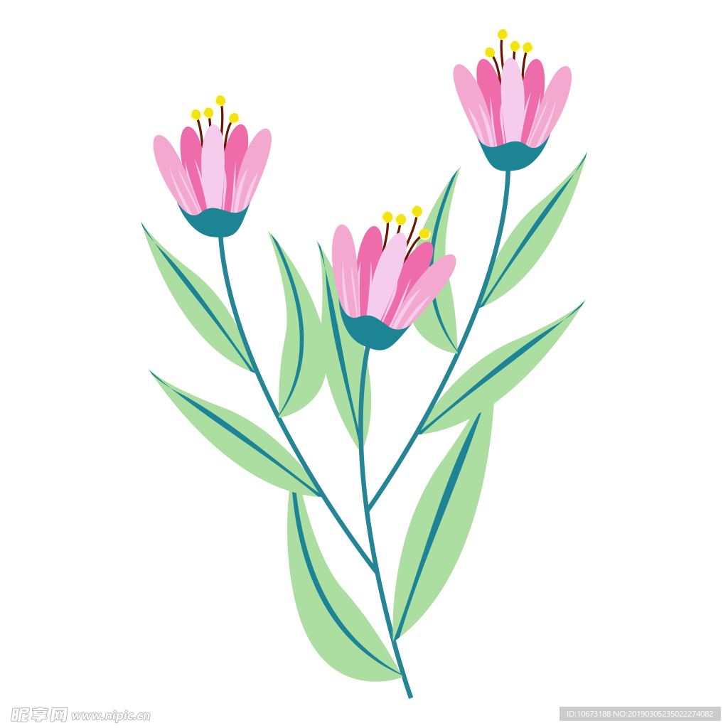 水彩植物图片