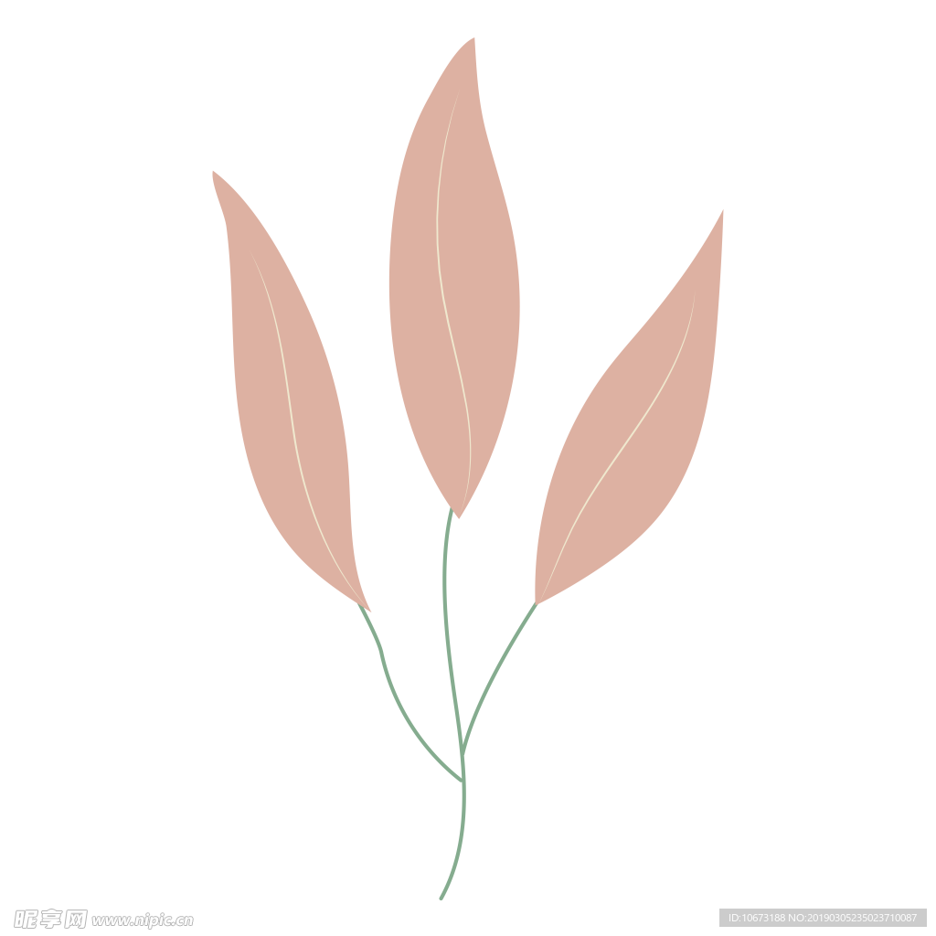 水彩植物图片