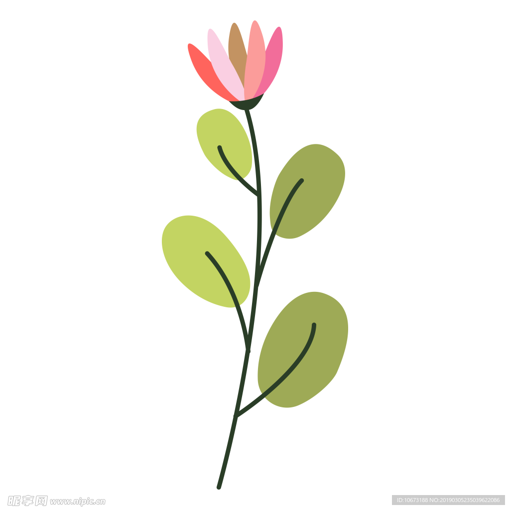 水彩植物图片