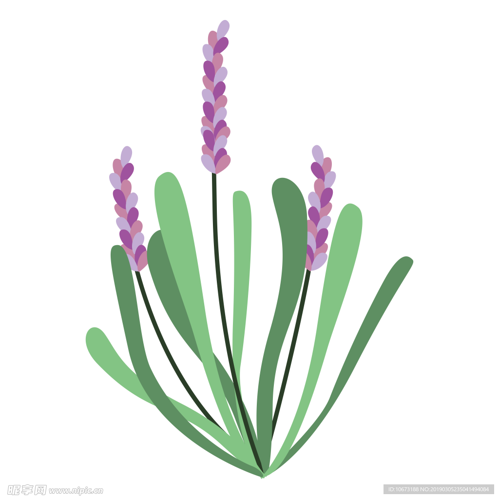 水彩植物图片