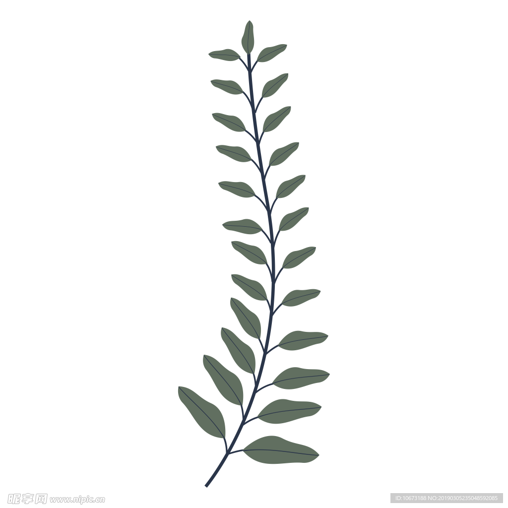 水彩植物图片