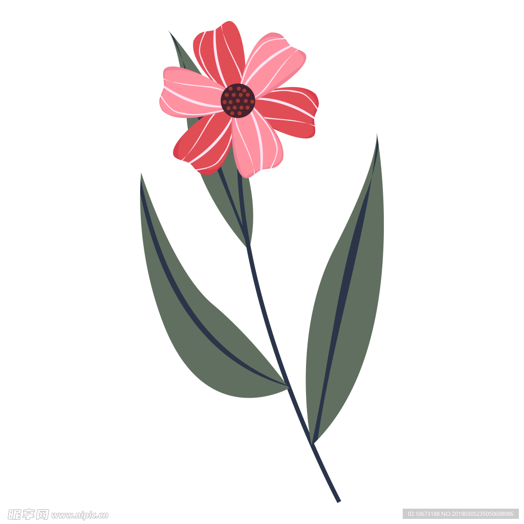 水彩植物图片