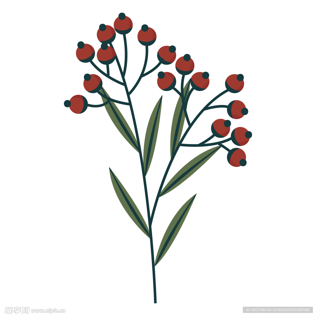 水彩植物图片