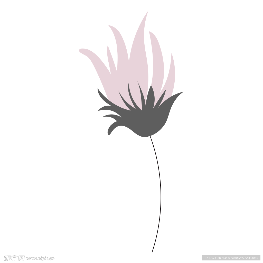 水彩植物图片